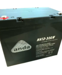 AGM BATTERY NH12V 300W HIGH RATE 80Ah (C10) T12-0